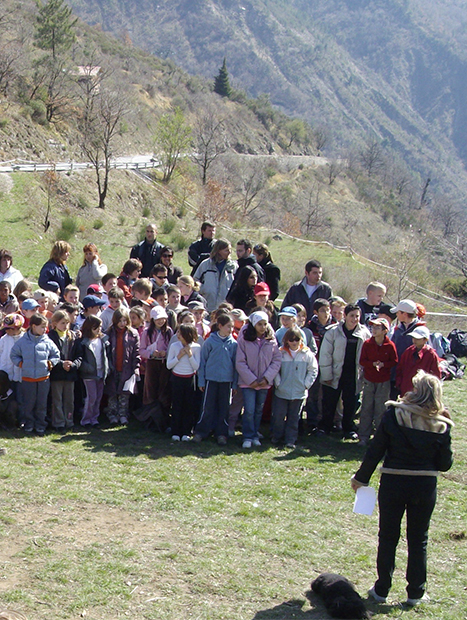 Reforestation Program